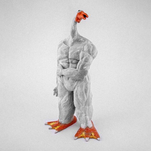 muscle-duck