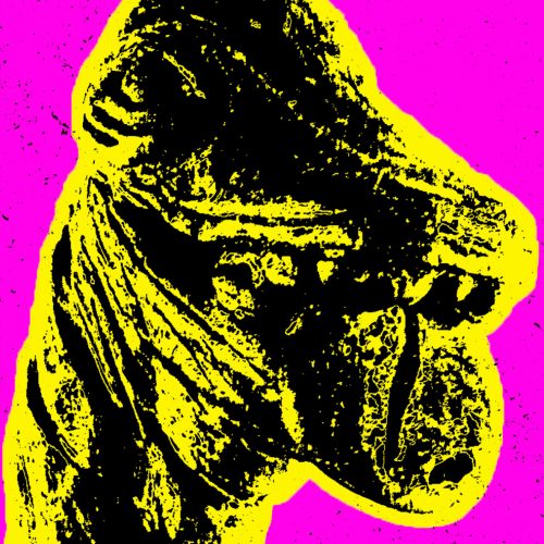 DINONORMAL2